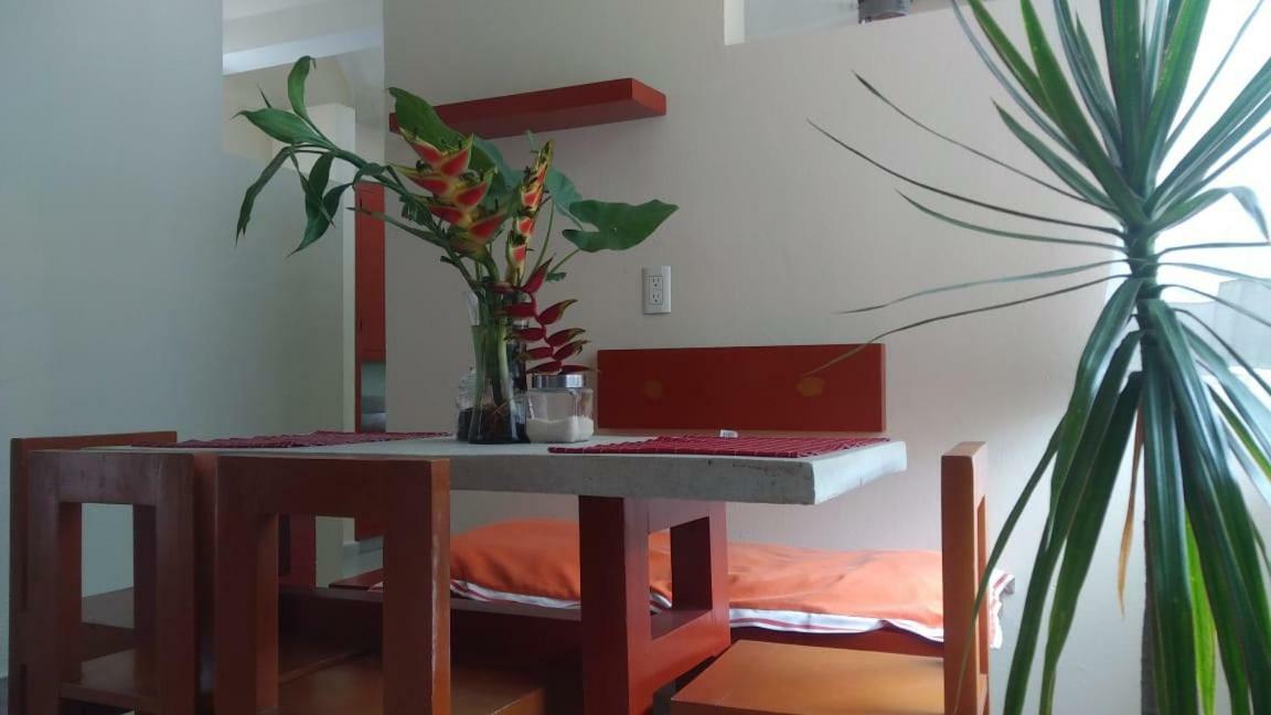 Departamentos De La Reina Roja Apartment Palenque Exterior photo